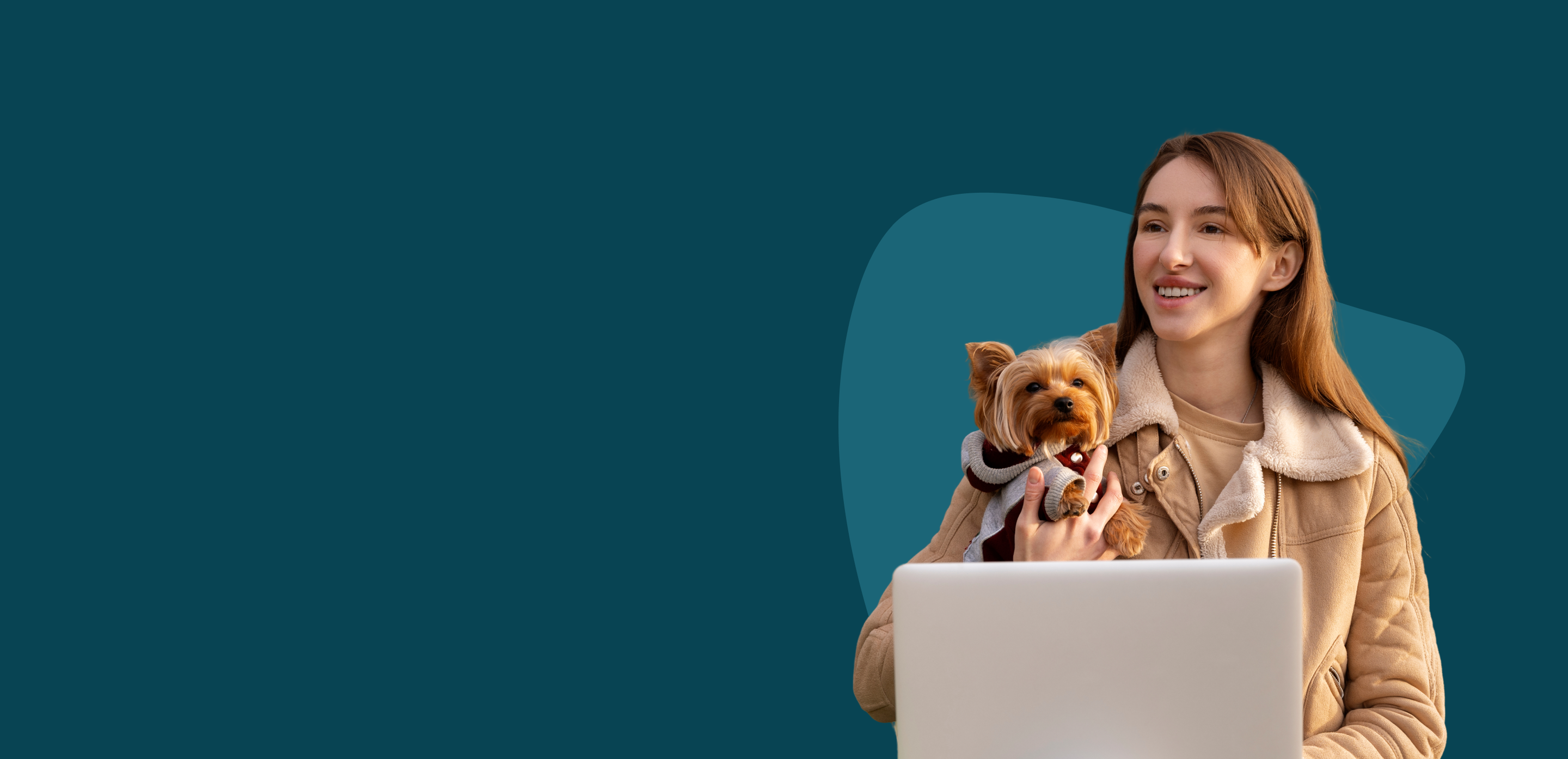 Banner image representing premium pet travel and informative blog content by Pet Jet Express